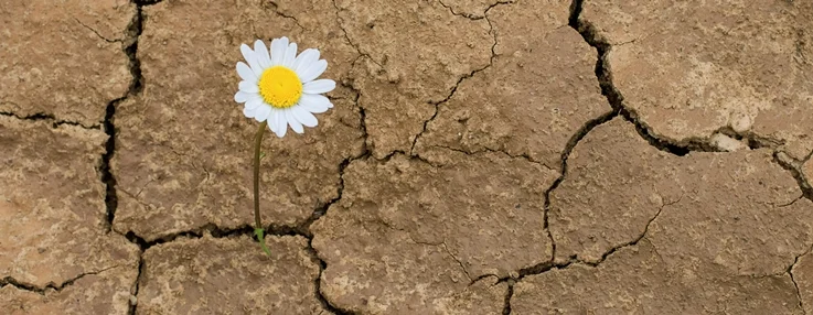 محله تاب‌آور: سنگ‌بنای جامعه پایدار