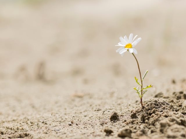 تاب آور بودن به چه معناست؟