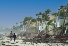 Disaster Resilience Research