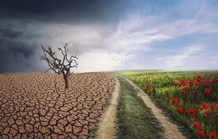 دیده شدن یا استیصال؟ نگاهی به پویشها و همایشها