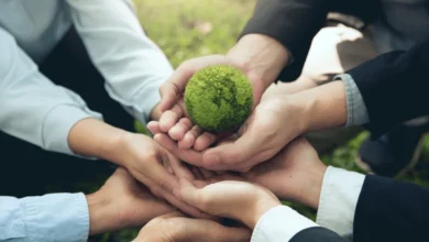 نقش حیاتی آموزش و آگاهی‌بخشی در تقویت تاب‌آوری اقلیمی