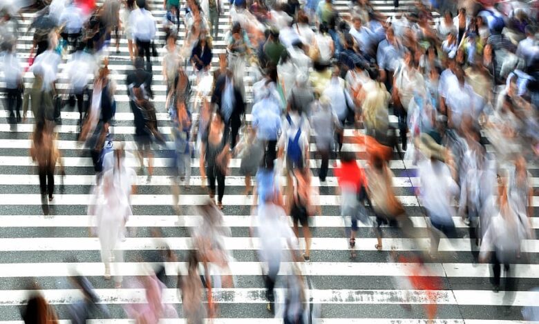 تابآوری: کلید بقا و رشد در دنیای پرچالش